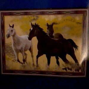 Throw Wild Horses 60” x 80” hi pile Raschel knit blanket Shavel washable